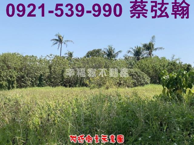 台南歸仁農地-10