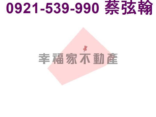 台南歸仁農地-14