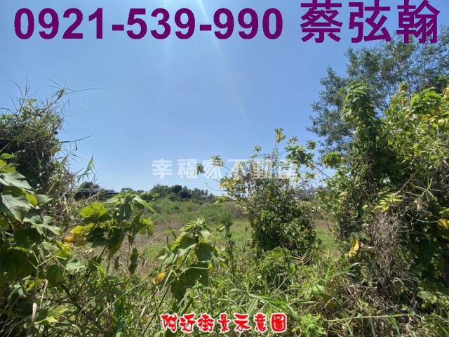 台南歸仁農地-1