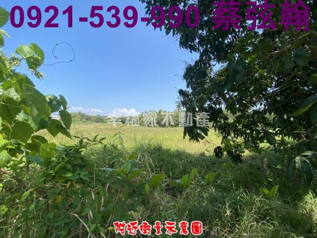 台南歸仁農地-2