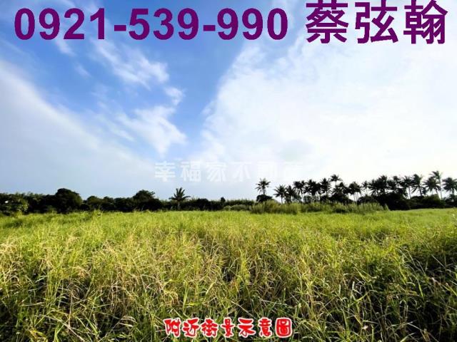 台南歸仁農地-3
