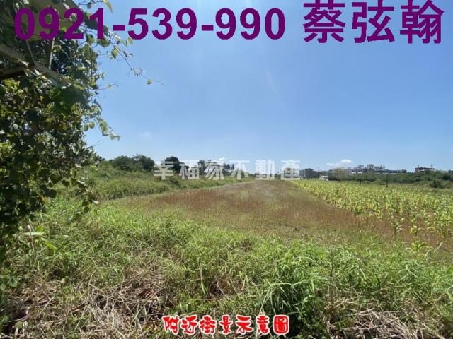 台南歸仁農地-6