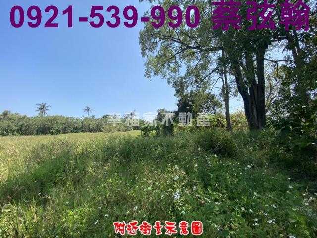 台南歸仁農地-8
