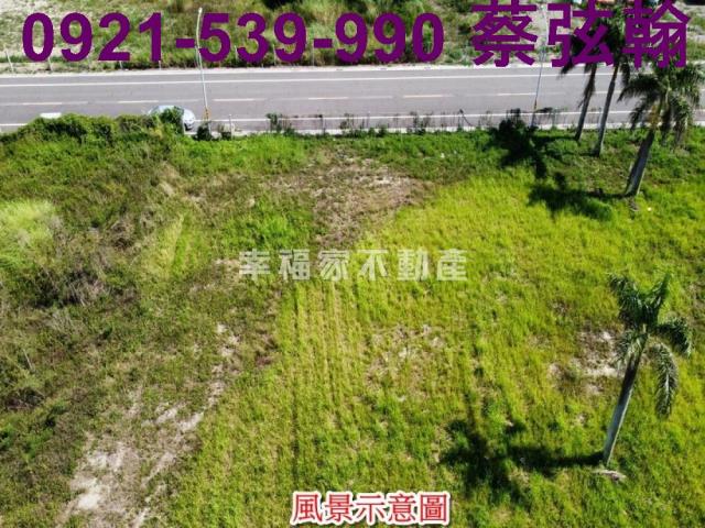 台南麻豆工業地-5